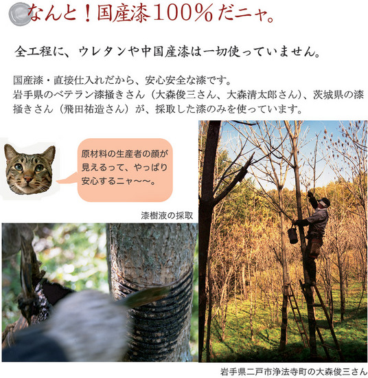 わわの特長1 .jpg