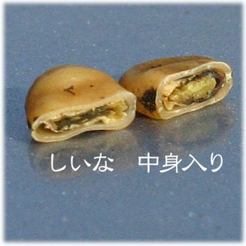 漆のタネの脱ロウ7