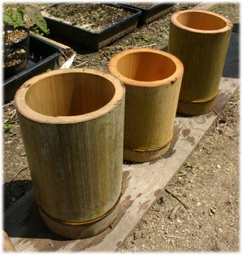 竹の油抜き５