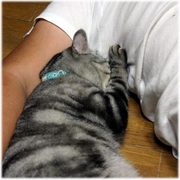 へんなうり坊