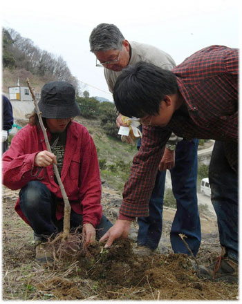 11_19_higasisan_3_.jpg