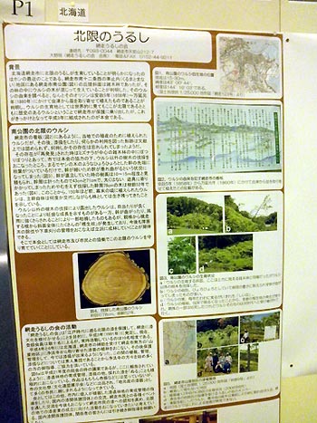 漆サミット 北海道